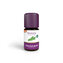 TAOASIS Éterický olej Rozmarýn BIO (5 ml) - pro tělo i mysl