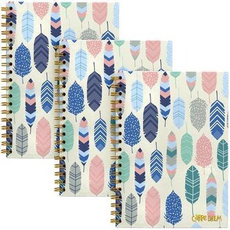 Spirálový sešit "Carpe Diem", motiv s peřím, B5, linkovaný, 80 listů, FSC, PUKKA BAD 9379-CD