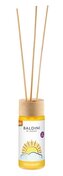 TAOASIS Baldini Aroma difuzér s tyčinkami FeelPower BIO (50 ml) - osvěžující, aktivační a stimulující