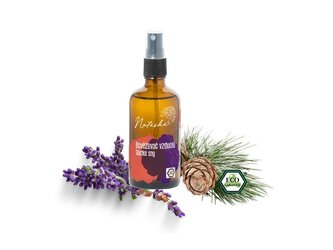 Natasha Osvěžovač vzduchu - Sladké sny (100 ml) - zklidní a připraví na spánek