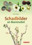 Schadbilder an Beerenobst