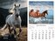 Kalendarz 2026 ścienny Konie