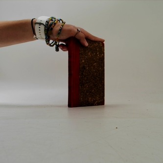 Idyllky pana adjunkta