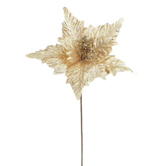 Poinsetie třpytivá - zlatá