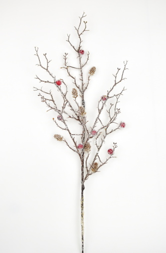 Větvička ojíněná