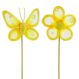 Kytička a motýl zápich žlutý