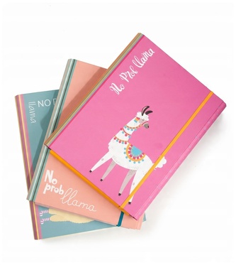 Teczka 4cm z gumką PROBlama, VauPe