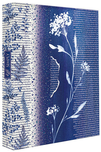 Segregator A4 4-ringowy Simply, Argus