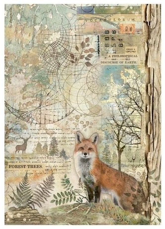 Papier ryżowy A4 Forest lisek, Stamperia