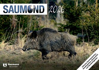 Saumond 2026
