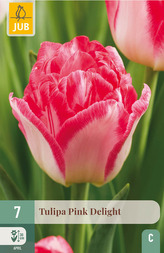 Karta - Tulipán - Pink Delight (7 cibulí) "C+"