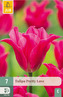 Karta - Tulipán - Pretty Love (7 cibulí) "C+"