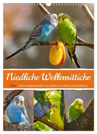 Niedliche Wellensittiche (Wandkalender 2026 DIN A3 hoch), CALVENDO Monatskalender
