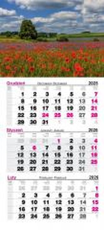 Kalendarz 2026 ścienny trójdzielny Maki