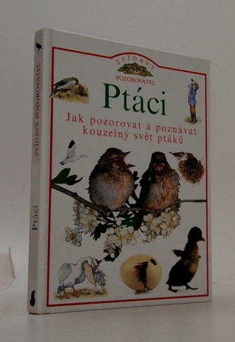 Zvídavý pozorovatel: Ptáci