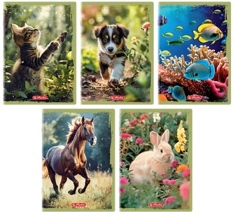 Zeszyt Animals Herlitz A5 32 kartki - kratka 10 szt w opakowaniu