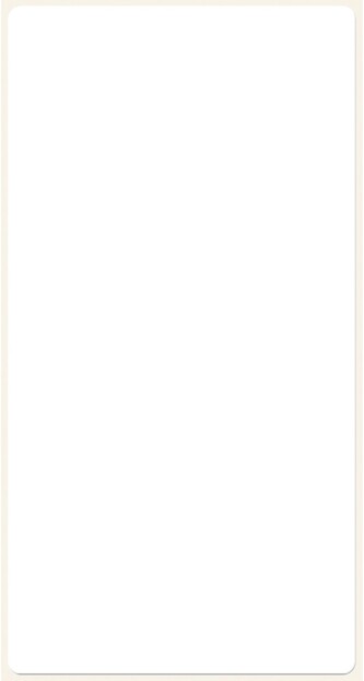 Avery Zweckform 3047 Etikety na ruční popis 98x51 mm, 6 ks, bílé