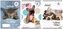 Zeszyt A4/32 kartki The Sweet Pets Pies Kratka