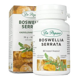 Boswellia Serrata - Kadidlovník , 60 kapslí Dr. Popov Boswellia Serrata - Kadidlovník , 60 kapslí Dr. Popov