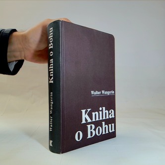 Kniha o bohu