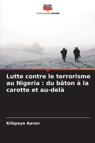 Lutte contre le terrorisme au Nigeria : du bâton à la carotte et au-delà
