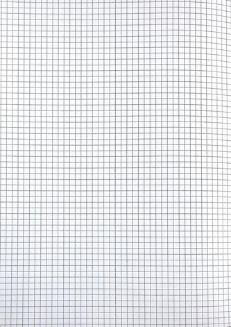 Sešit "Animal", A4, čtverečkovaný, 40+2 listů, ještěrka, MITAMA 62732-90102