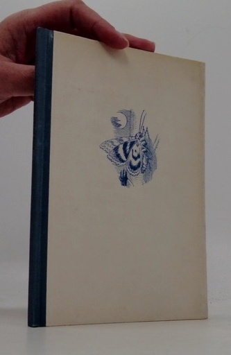 Stužkonovská modrá