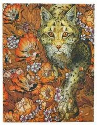 Notatnik linia Lynx Rising midi