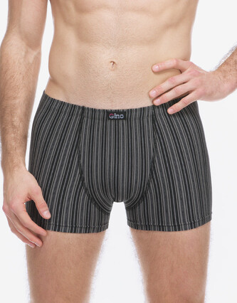 Pánské boxerky Gino vícebarevné (73138-MxCDxG) M