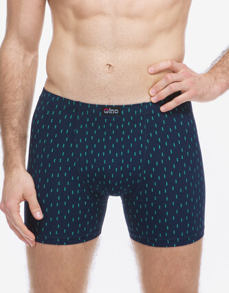 Pánské boxerky Gino vícebarevné (74181-DCMMMZ) XL