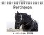 Percheron