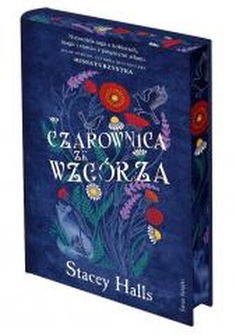 Czarownica ze wzgórza (ilustrowane brzegi)