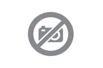 Včely a jejich biochemická tajemství