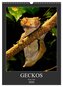 GECKOS (Wandkalender 2026 DIN A3 hoch), CALVENDO Monatskalender