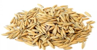 Horňácká farma BIO ječmen, 500 g