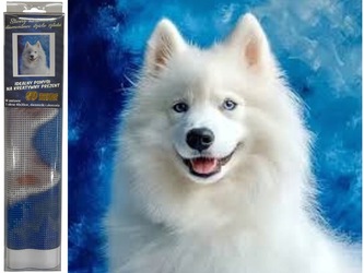 Diamantový obrázek Pes samojed  30 x 40 cm