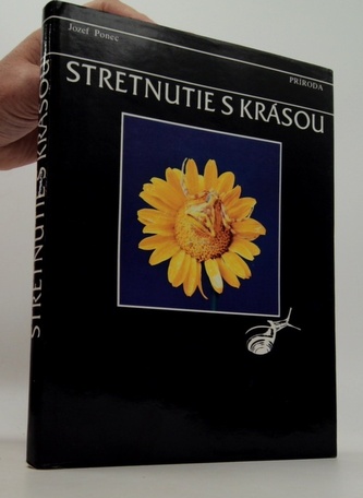 stretnutie s krásou