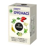 LEROS Bylinný čaj Cesty dýchací - nálev. sáčky (20 x 1,5 g) - posílí obranyschopnost a uvolní dýchací cesty