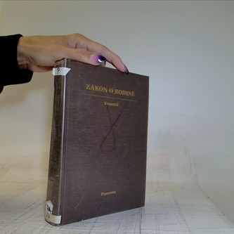 Zákon o rodině - Komentář