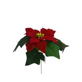 Poinsettie červená  510-0050/RD