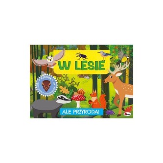 Ale Przyroda W lesie