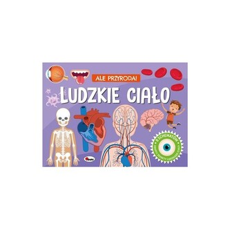 Ale Przyroda Ludzkie ciało