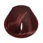 EVO - hue.verse 100ml permanent colour 5.5