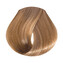 EVO - hue.verse 100ml permanent colour 8.3
