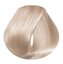 EVO - hue.verse 100ml permanent colour 12.0