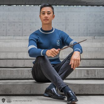 Cinereplicas Svetr famfrpálový Havraspár, Harry Potter Velikost: XL Cinereplicas Svetr famfrpálový Havraspár, Harry Potter Velikost: XL