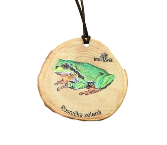 Lesní svět Dřevěná medaile letokruh - Rosnička