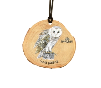 Lesní svět Dřevěná medaile letokruh - Sova pálená