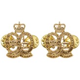 Odznak (pins) britský RAF South Africa Yeomanry 1 pár - zlatý