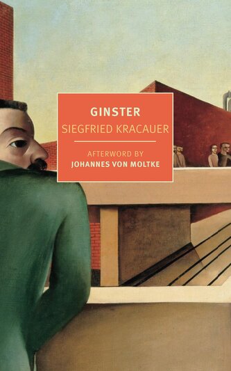 Ginster Ginster